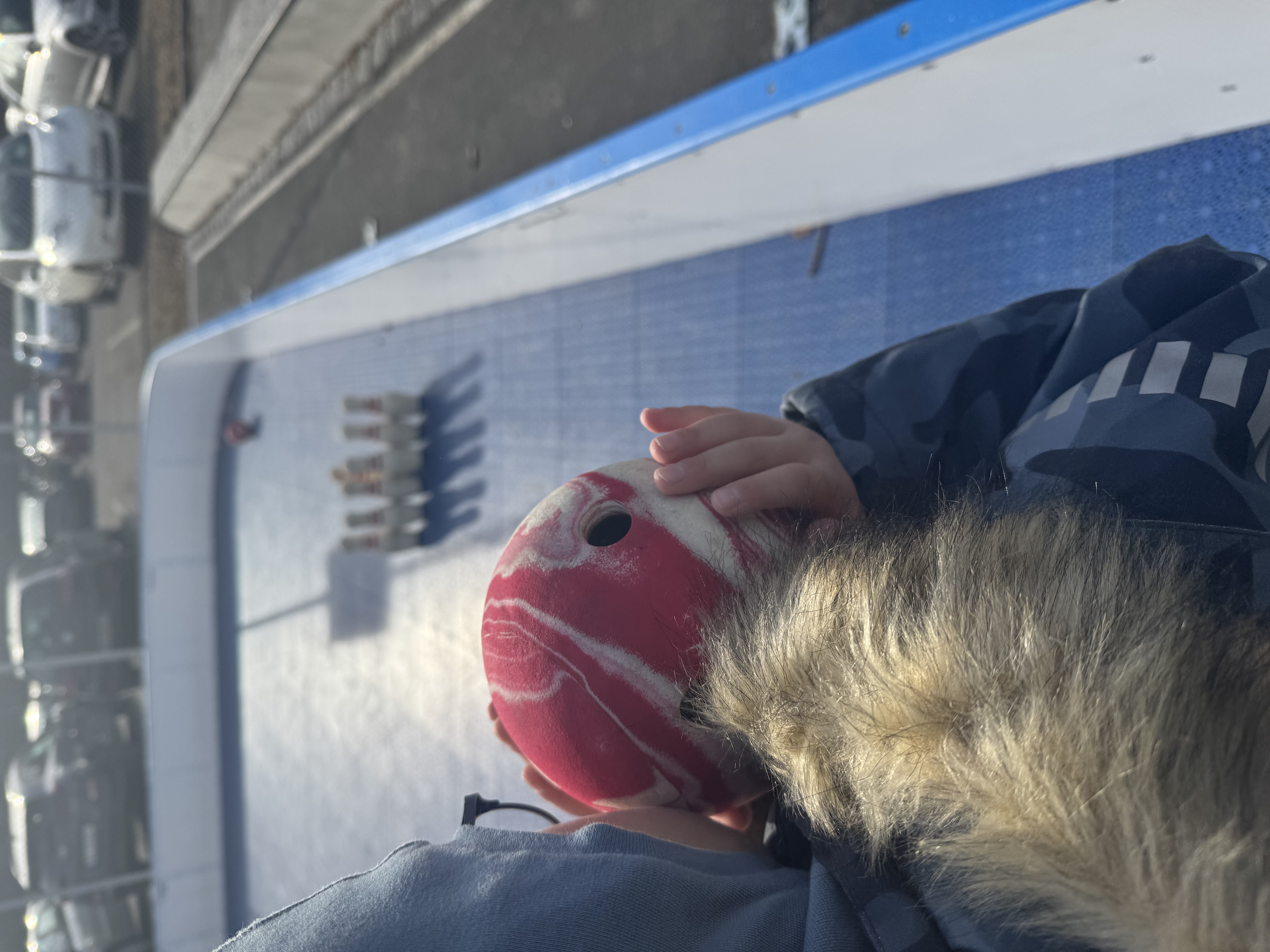 en person som holder et kosedyr