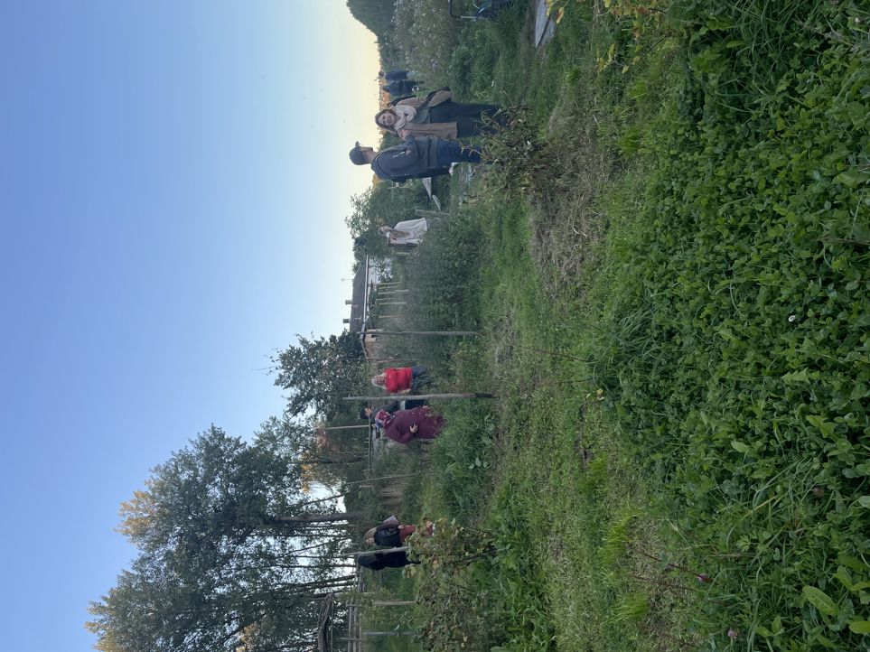 En gruppe mennesker i en hage