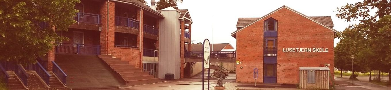 Lusetjern skole